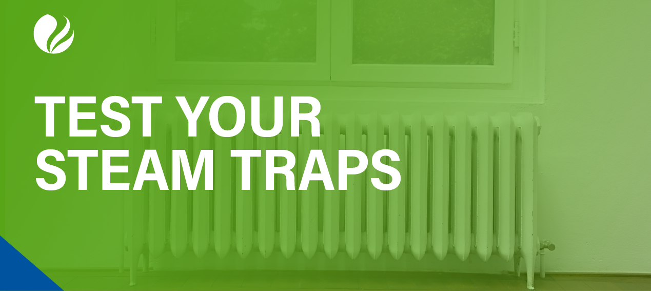 2024_Q4_ER_lp-img_609x272-w_test-your-steam-traps